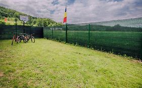 Căsuța de sub deal - Ciubăr și piscină